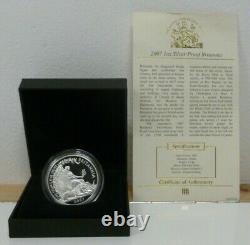 2007 UK Royal Mint 1oz. 958 Silver Proof Britannia £2 Low Mintage boxed + COA