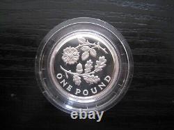 2013 Silver Proof Piedfort Icons Of A Nation £1 Floral Coin (England) with COA