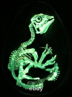 2019 Hatching Hadrosaur Dinosaur $20 1OZ Silver Proof Glow-Dark Egg-Shaped Coin
