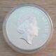 2020 Britannia five ounce 999 fine Silver Proof £10 coin'Rare' 2 Available