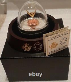 2020 Moving Hummingbird and the Bloom $50 5OZ Pure Silver Proof Coin Canada