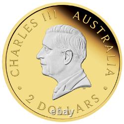 2024 Australia Kangaroo 2 oz Silver Reverse Gilded Proof Coin with 3000